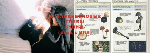 ALPHA-PVP Алзамай