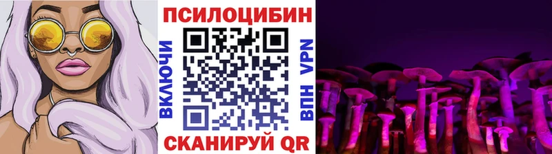 мориарти наркотические препараты  Цоци-Юрт  Галлюциногенные грибы мицелий 